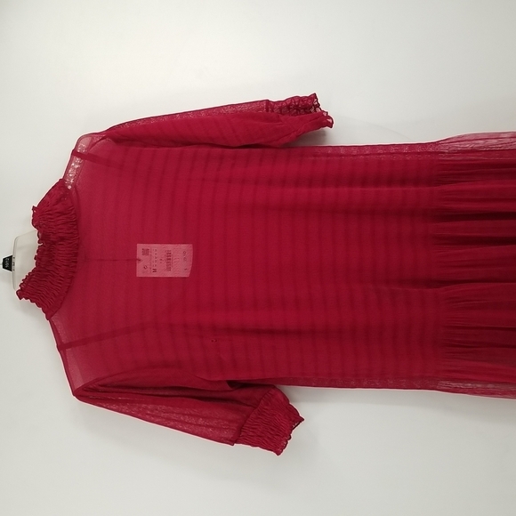 Zara Dresses & Skirts - Zara Cranberry Dropped Waist Sheer Overlay Dress with Slip